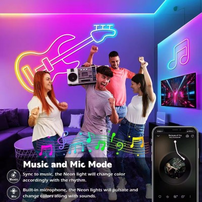LED Neon Light NEL1500picture3