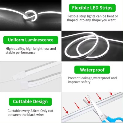 LED Neon Light NEL1500picture4