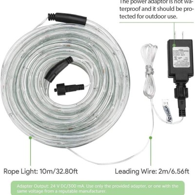 LED Rope Light RPL500picture2