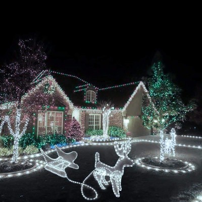 LED Rope Light RPL500picture4
