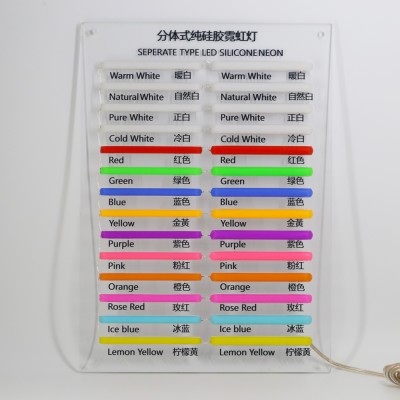 LED Neon Light NEL1700picture4