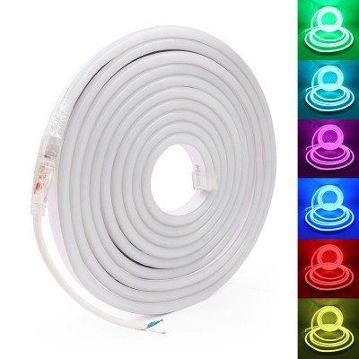 LED Neon Light NEL1900picture2