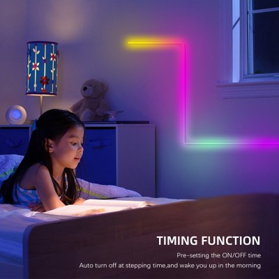 LED Neon Light NEL2500picture3