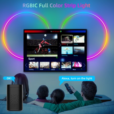 LED Neon Light NEL2500picture4