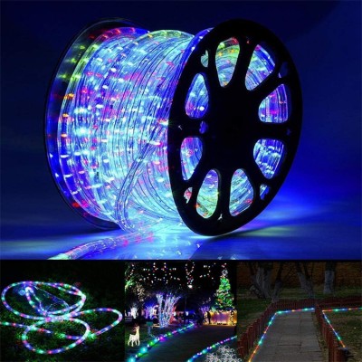 LED Rope Light RPL400picture2