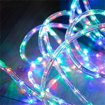 LED Rope Light RPL400picture6