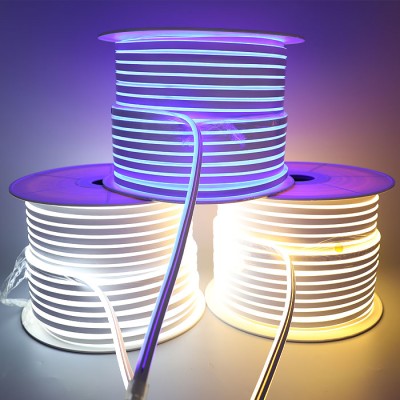 LED Neon Light NEL3000picture2