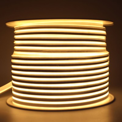 LED Neon Light NEL3000picture6