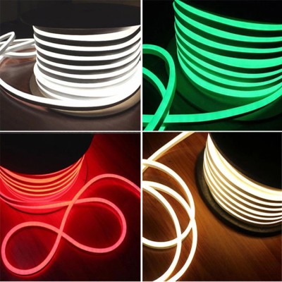 LED Neon Light NEL2700picture6