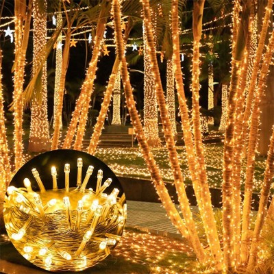 LED String Light STN100picture2