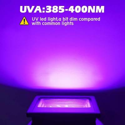 LED Ultraviolet Light UV160picture4