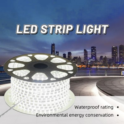 LED Strip Light STP230picture6