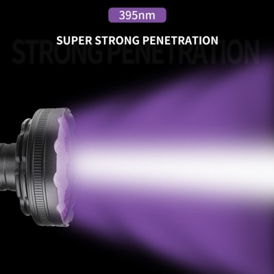 LED Ultraviolet Light UV200picture6