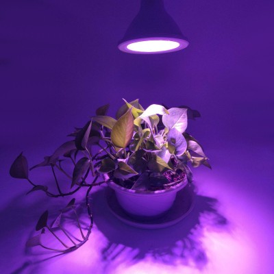LED Grow Light GRW100picture2