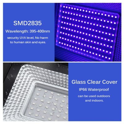 LED Ultraviolet Light UV360picture2