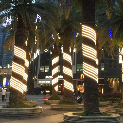 LED Strip Light STP220picture6
