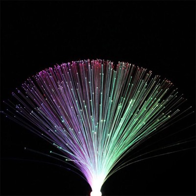 LED Fiber Optic Light FBL200picture6