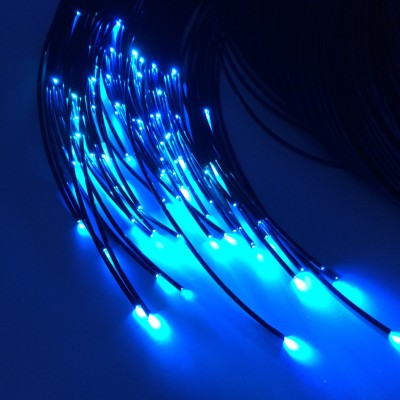 LED Fiber Optic Light FBL100picture2