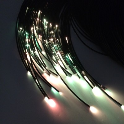 LED Fiber Optic Light FBL100picture3