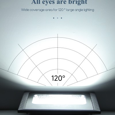 Solar LED Flood Light SFL900picture5