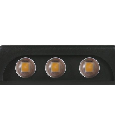 LED Wall Light WL1100picture4