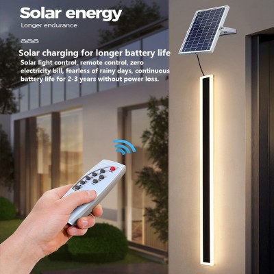 LED Wall Light WL1110picture3