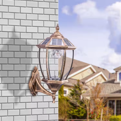 LED Wall Light WL1060picture2