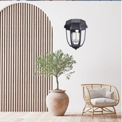 Solar Wall Light SWL1020picture6