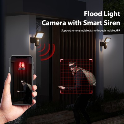 Solar Wall Light SWL720picture3