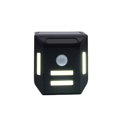 Solar Wall Light SWL740picture2
