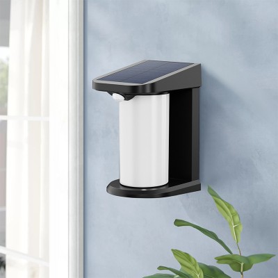 Solar Wall Light SWL450picture5