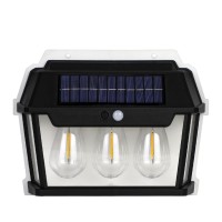 Solar Wall Light SWL800