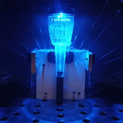 LED Pathway Light PWL460picture3