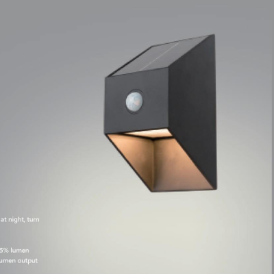 Solar Wall Light SWL1070picture3