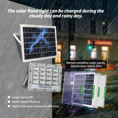 Solar LED Flood Light SFL2500picture4
