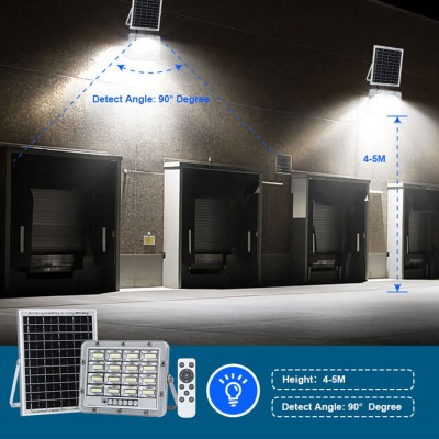 Solar LED Flood Light SFL2500picture5