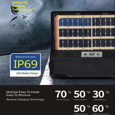 Solar LED Flood Light SFL2800picture4
