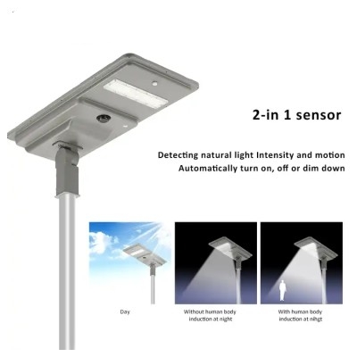 Solar Street Light SSL1110picture3