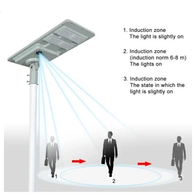 Solar Street Light SSL1110picture5
