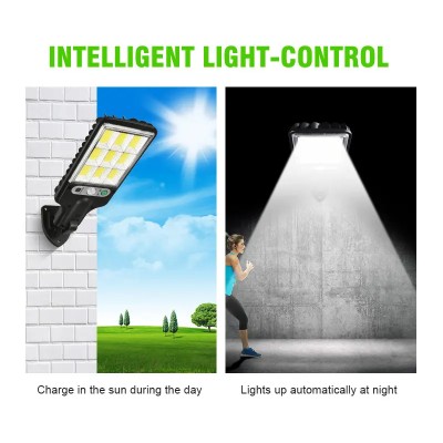 Solar Street Light SSL810picture3