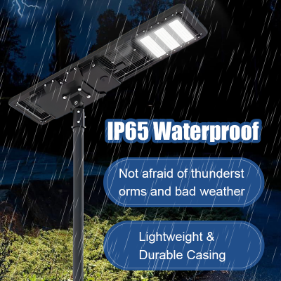 Solar Street Light SSL1130picture5