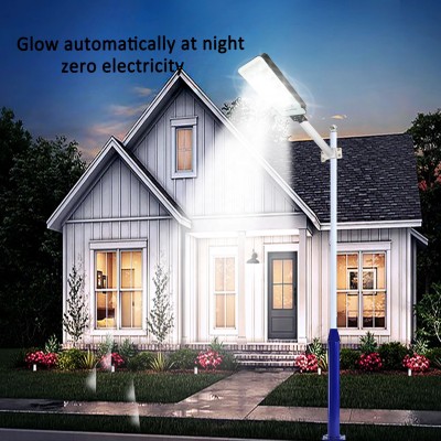 Solar Street Light SSL1200picture6
