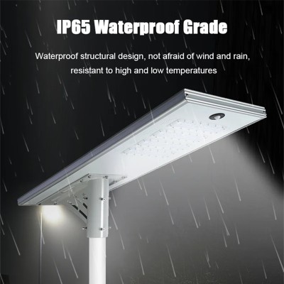 Solar Street Light SSL820picture2