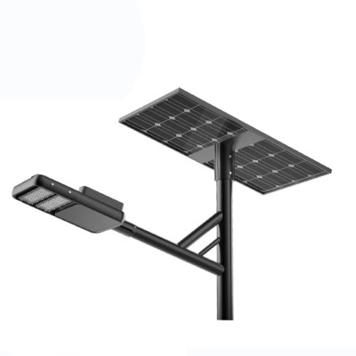 Solar Street Light SSL1220picture1