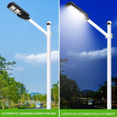 Solar Street Light SSL1160picture3