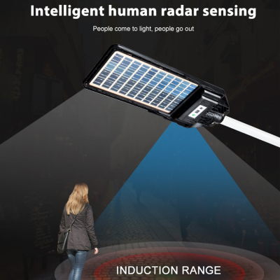 Solar Street Light SSL1040picture3
