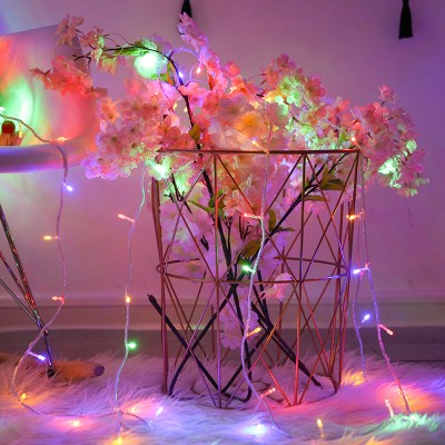 LED String Light STN280picture4