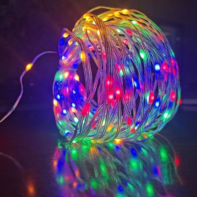 LED String Light STN210picture6