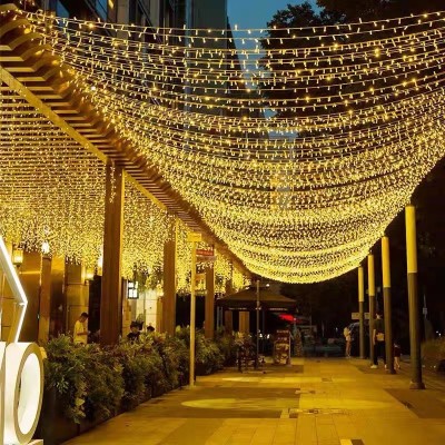 LED String Light STN220picture2