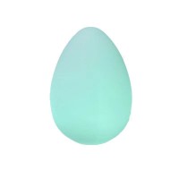LED Night Light NL310